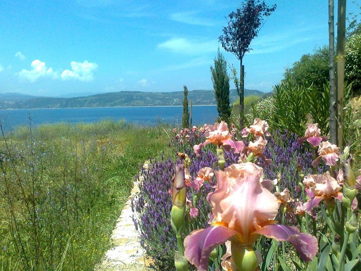 Marvelous Sea View Eco Apt Ammouliani Exterior photo